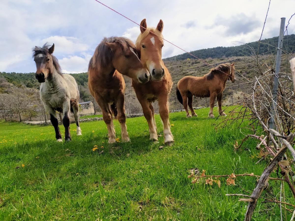 Hostal Pas De La Pera Aransá Esterno foto